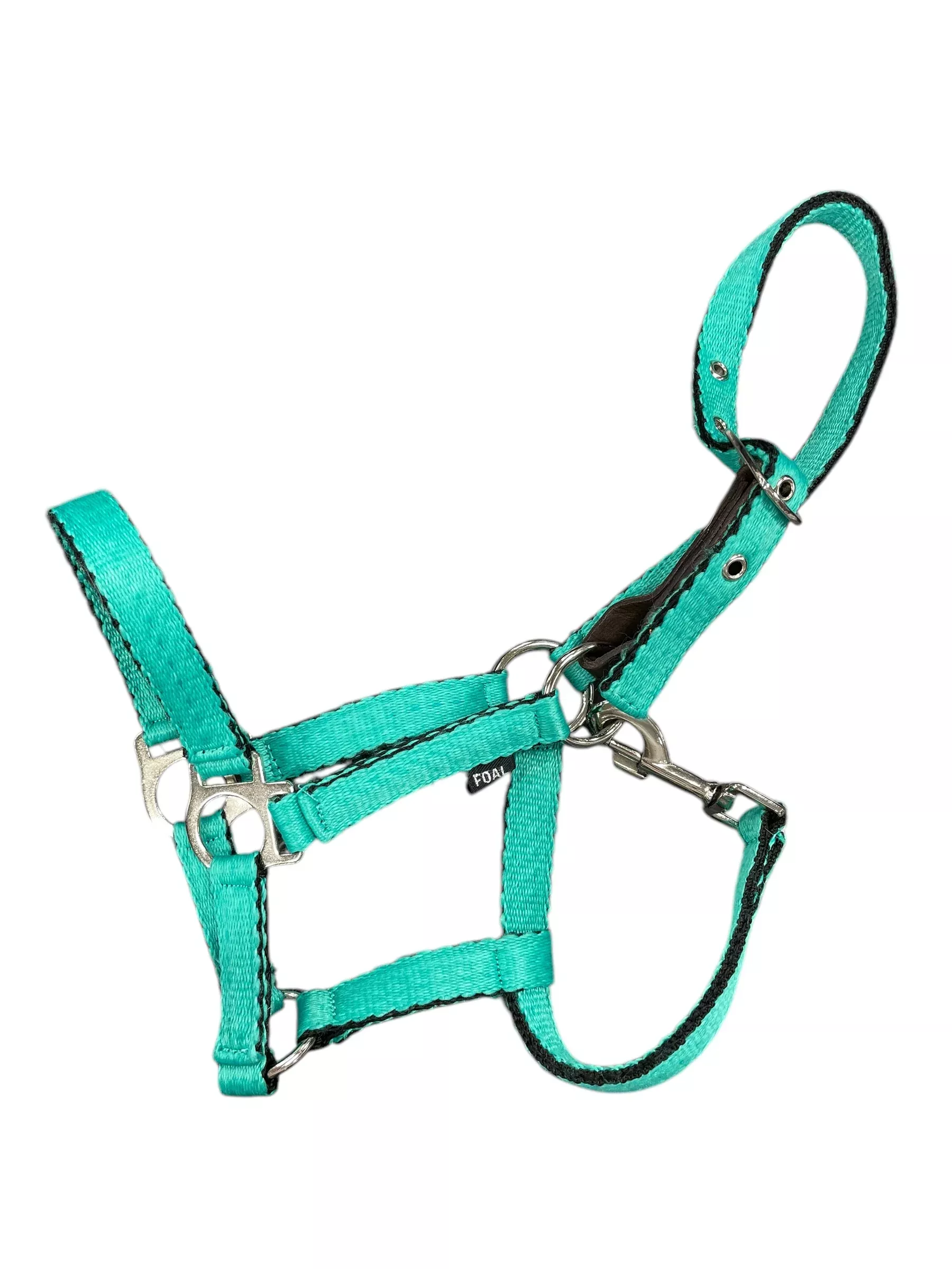Nylon Halter - Light Green - Foal - USED