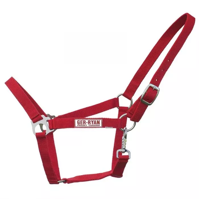 Nylon Halter Raspberry -Full