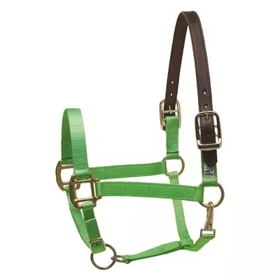 Nylon Safety Halter Mini & Pony