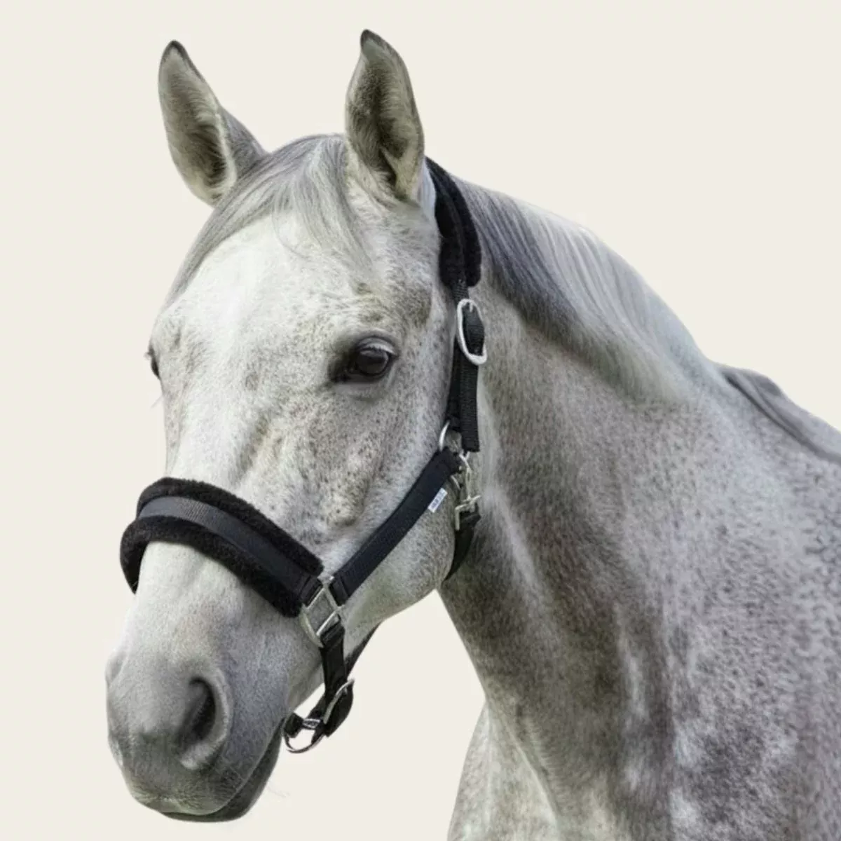 NZ Tack Signature Fleece Halter