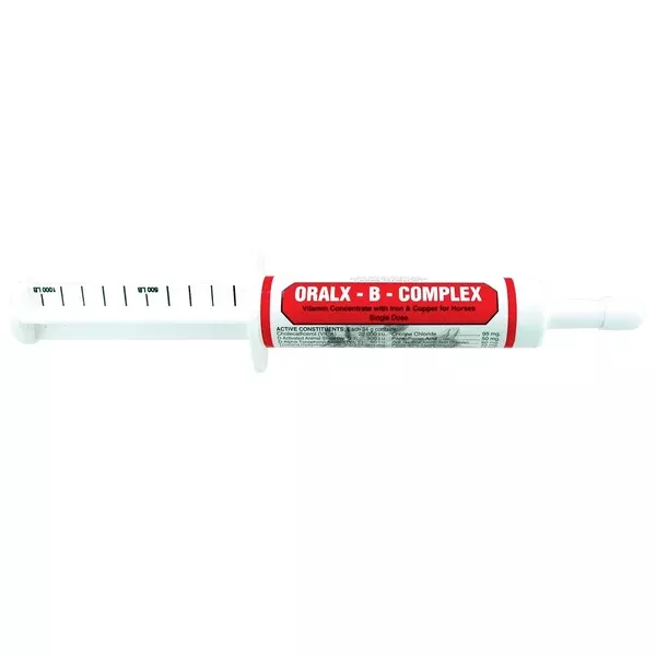 Oralx B-Complex | 34g