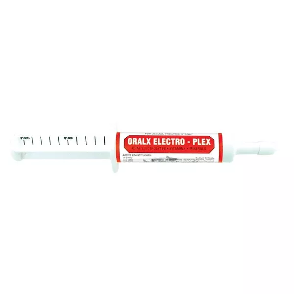 Oralx Electro-Plex | 34g