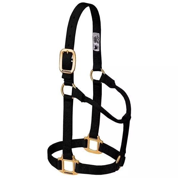 Original Non-Adjustable Nylon Horse Halter