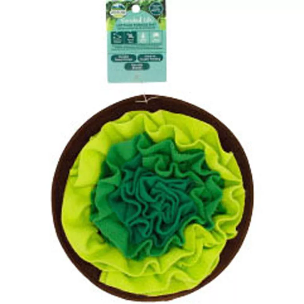 Oxbow Enriched Life Lettuce Forage Mat