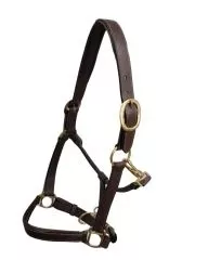 Padded Leather Halter