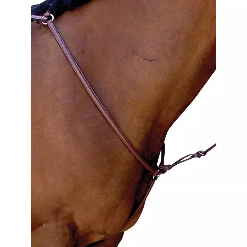 Passport Plain Raised Breastplate – Mahogany