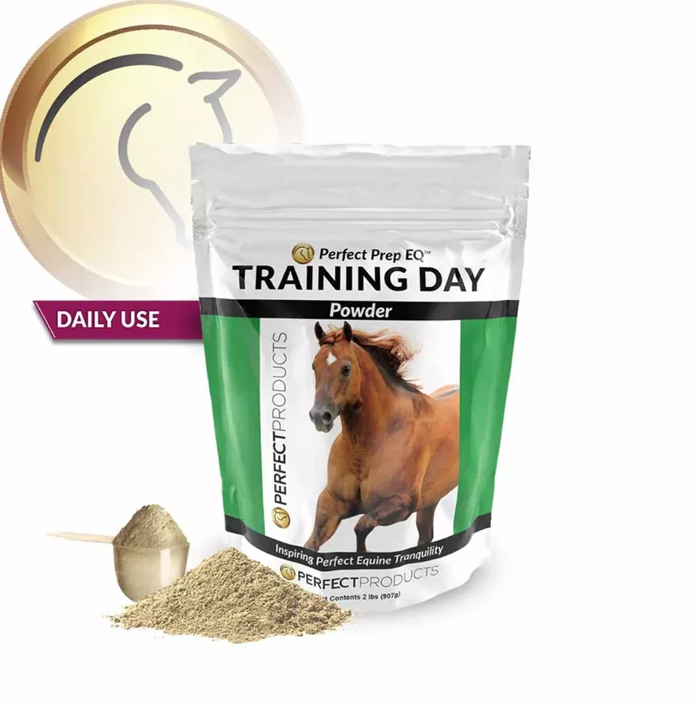 Perfect Prep EQ Training Day Powder