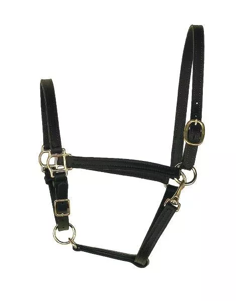 Perri's 3/4" Leather Turnout Halter