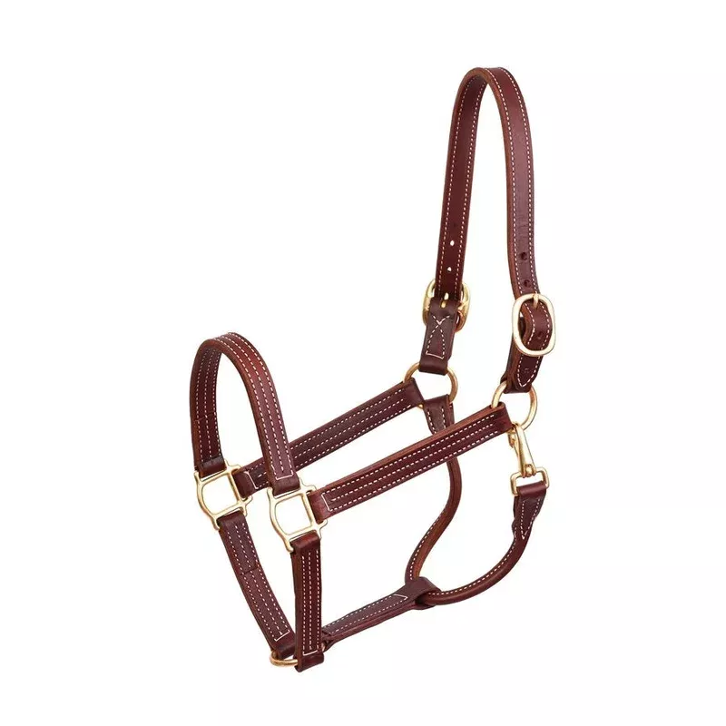 Perri's Professional Show Halter