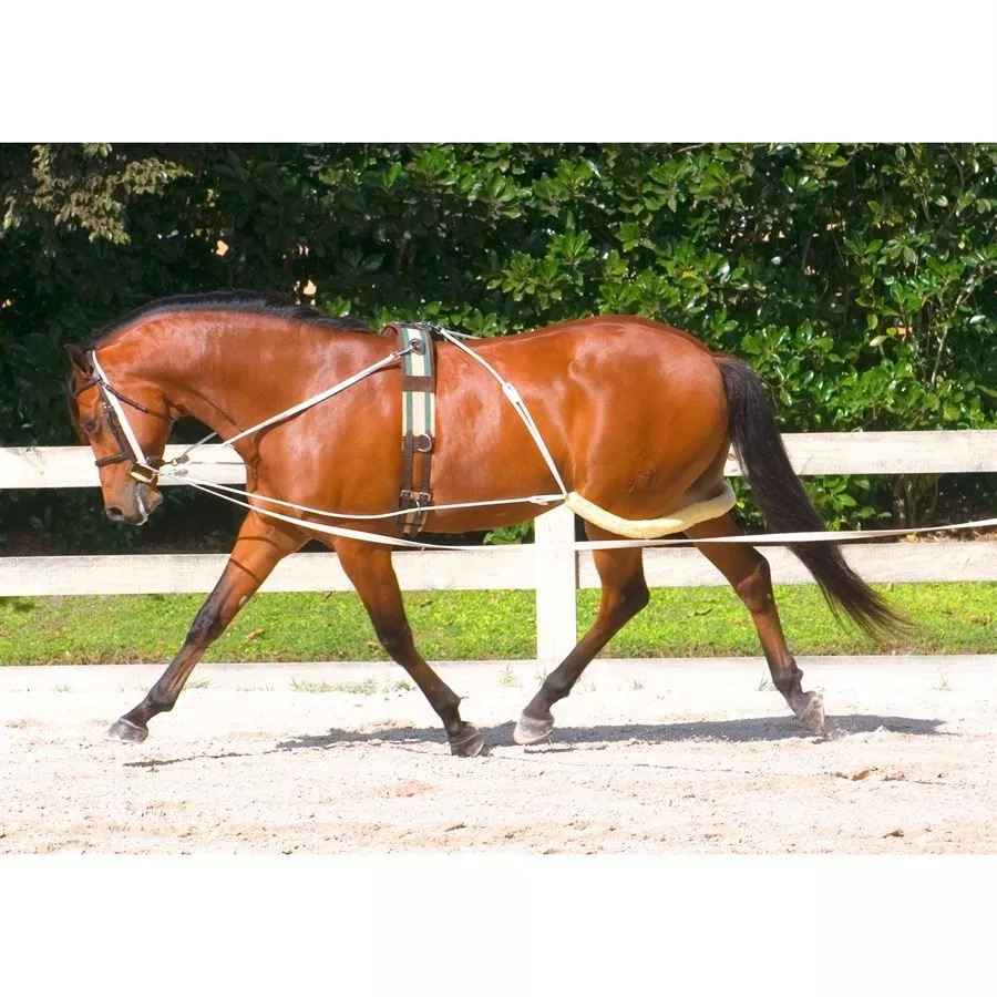 Pessoa - Lunge System