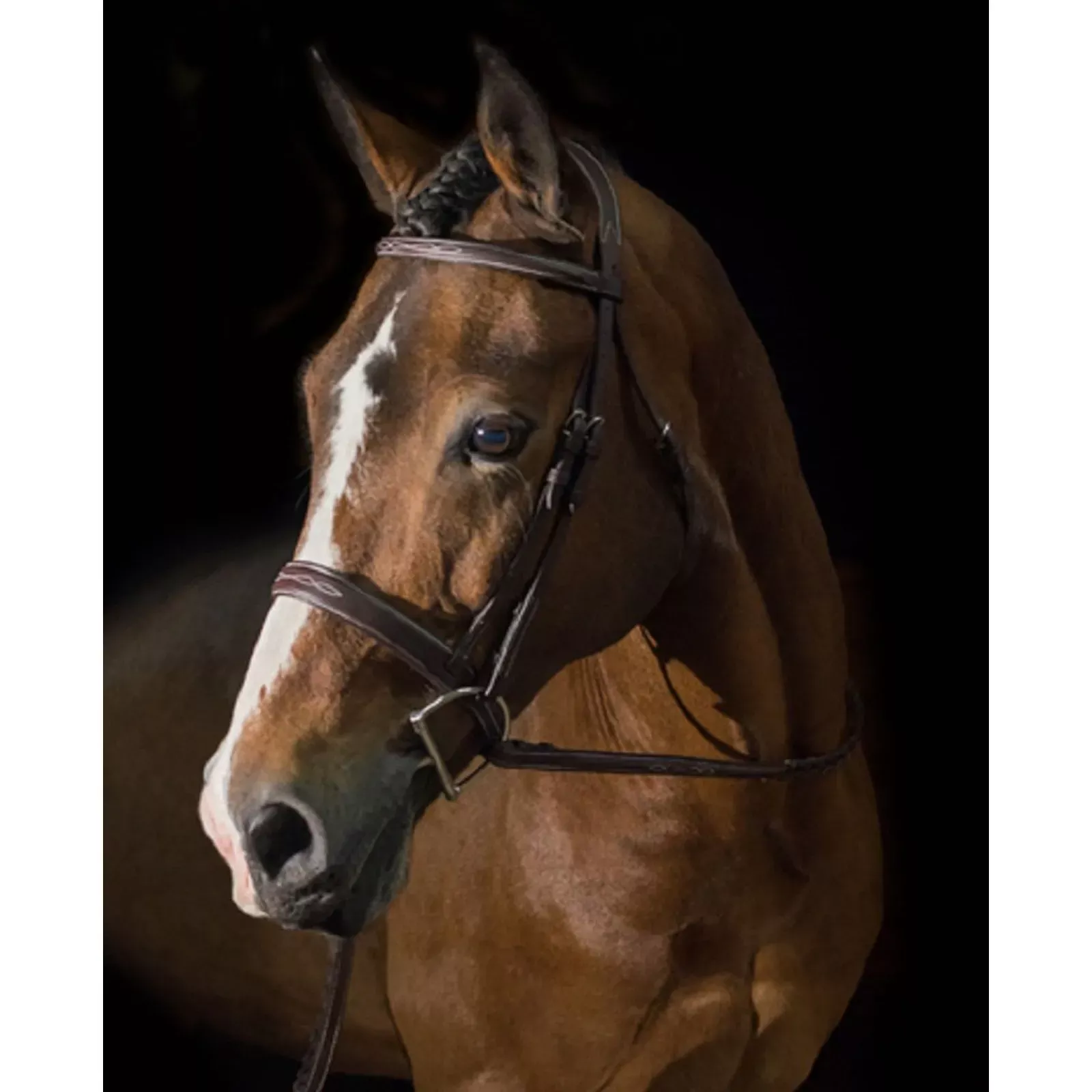 Pessoa Pro FS Wide Nose Bridle