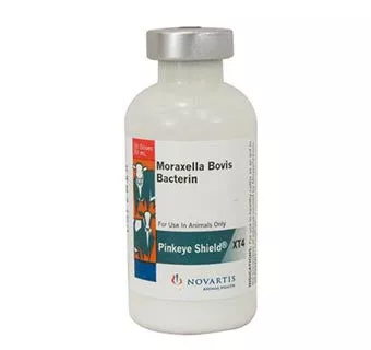 Pinkeye Shield XT4 vaccine, 10 Dose