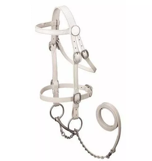 Plain Show Bridles
