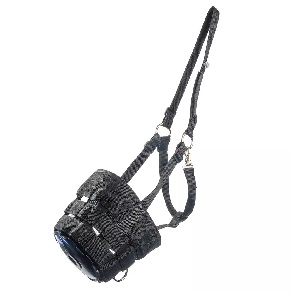 Pony Grazing Muzzle w/ Halter