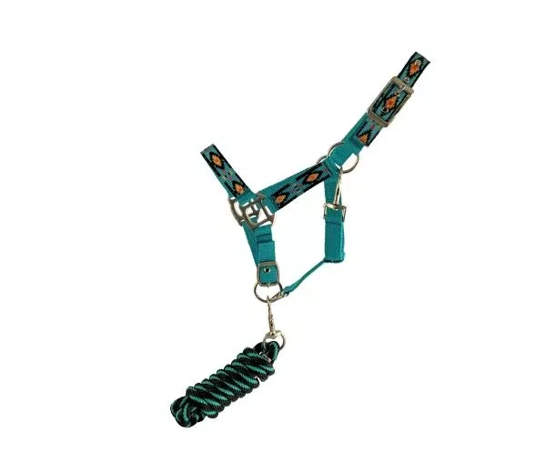 PONY TRIPLE PLY TURQUOISE NYLON HALTER