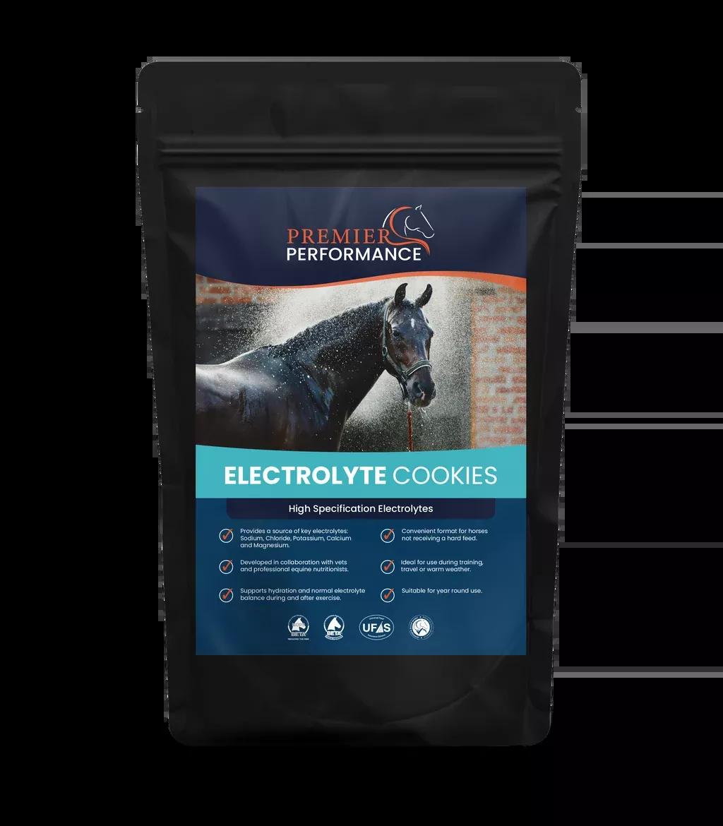 Premier Performance Electrolyte Cookies 10PK