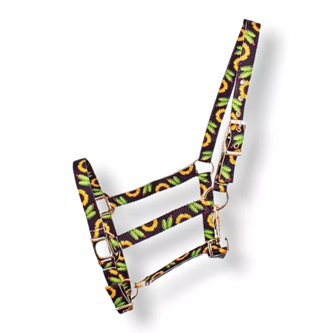 Premium Nylon Horse Sized Halter with sunflower and cactus design