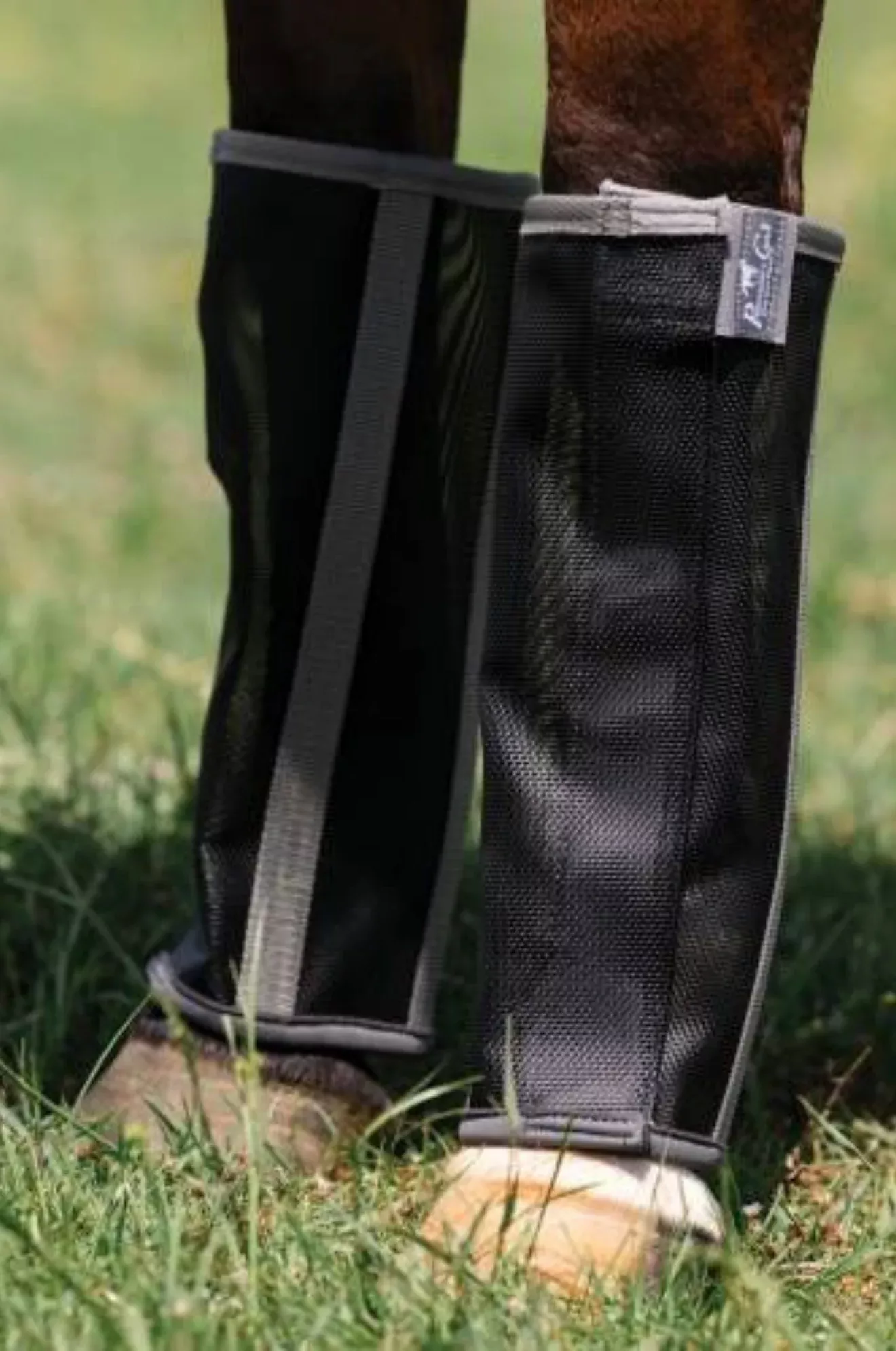 Pro-Choice Deluxe Fly Boots