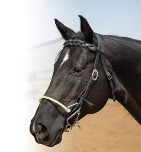 Professional's Choice -Infinity Braided Browband Headstall