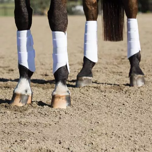 Professional's Choice Pro Performance Elite 2XCool Cross Country Rear Boots