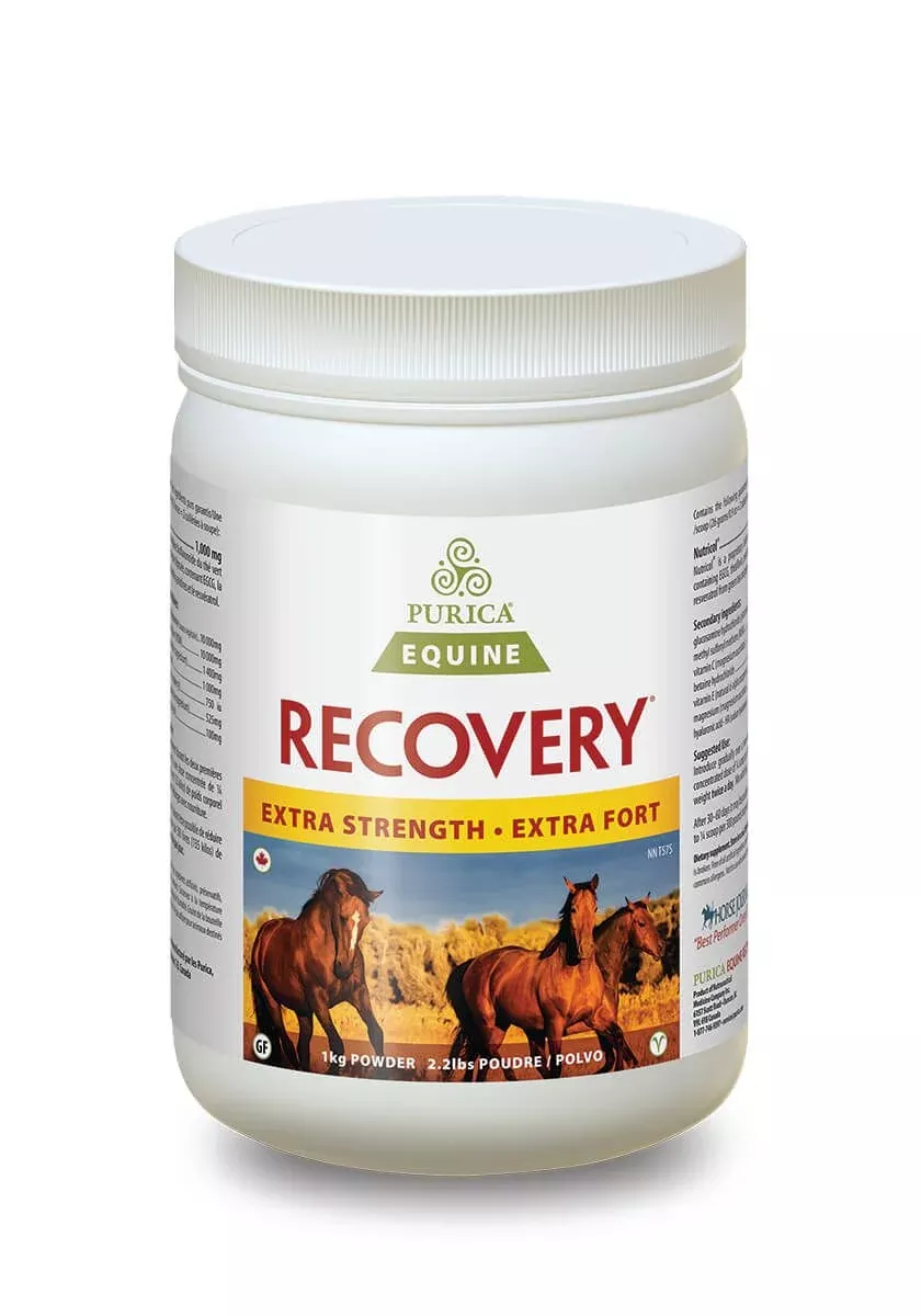 Purica Recovery Extra Strength -1kg