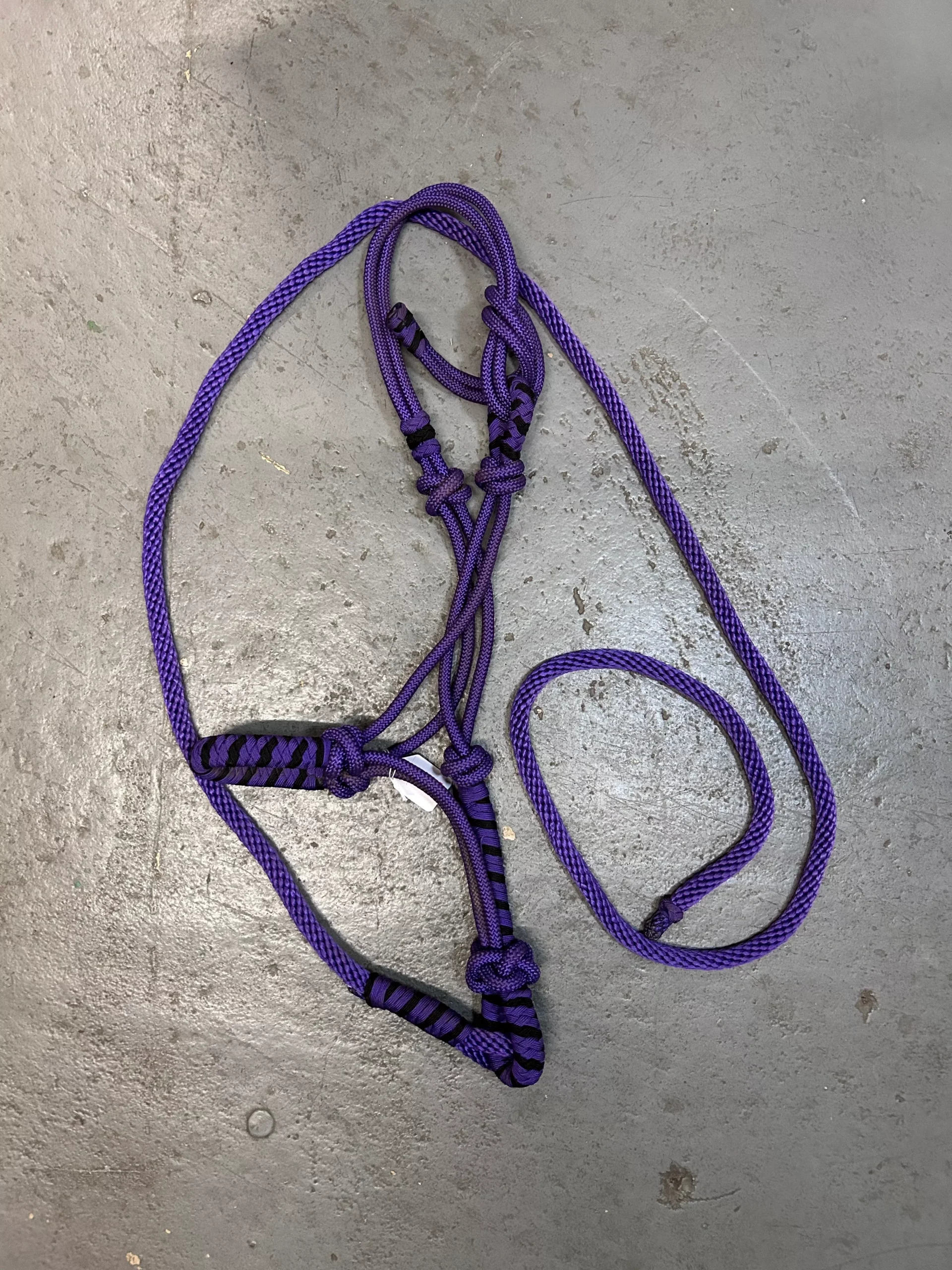 Purple Rope Halter with Lead