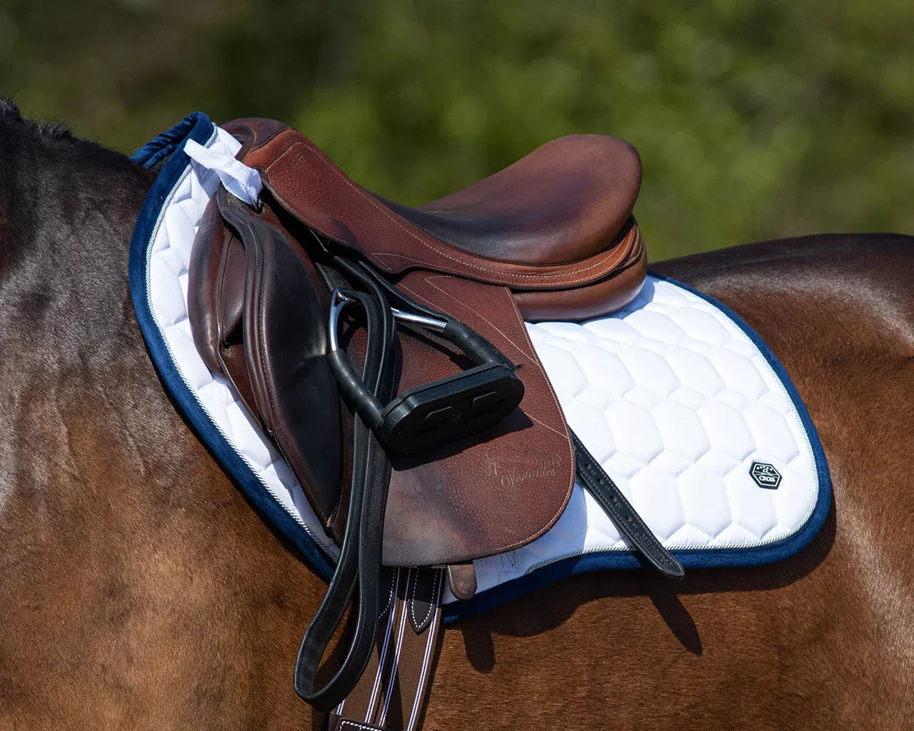 QHP Eldorado All-Purpose Saddle Pad Pony