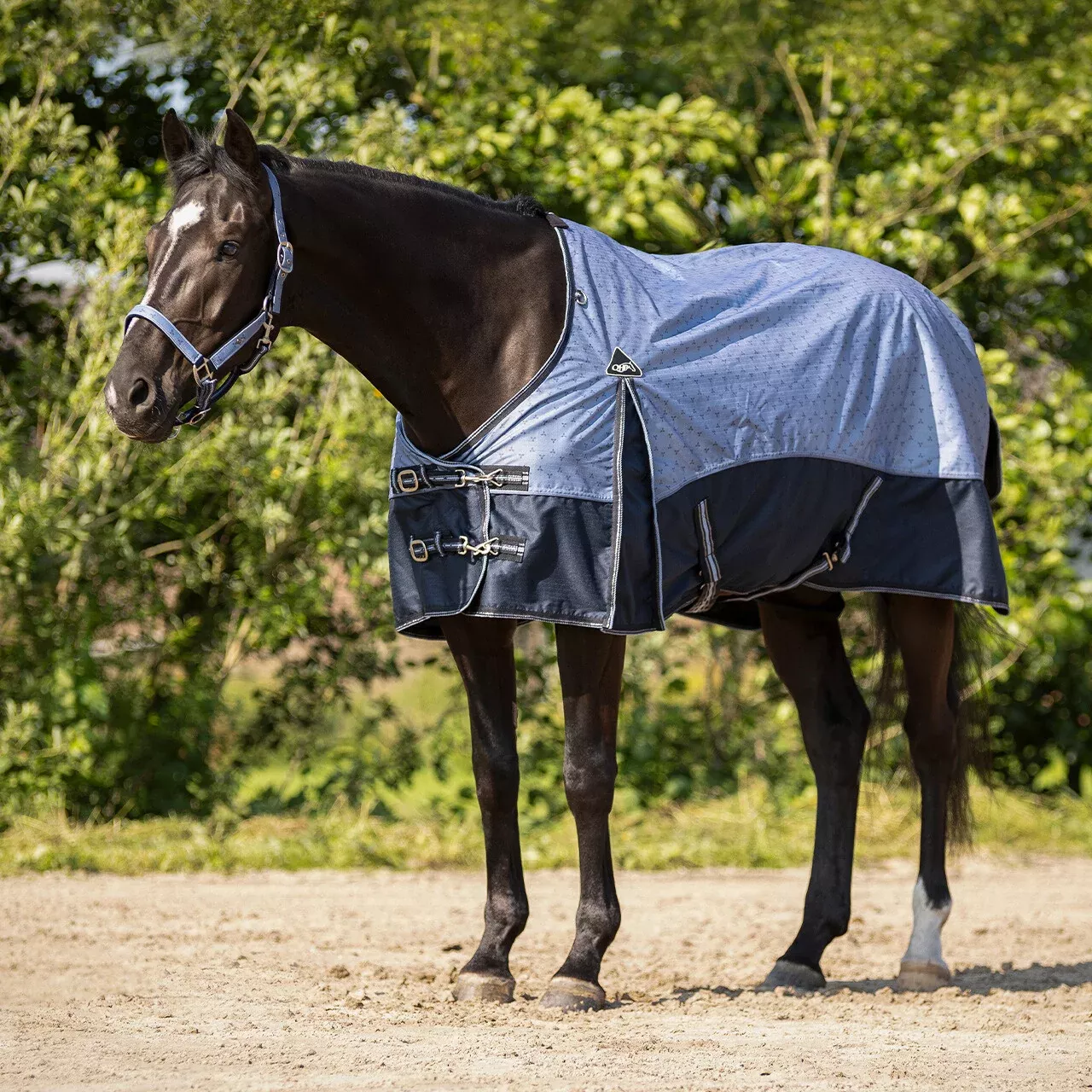 QHP Fleece Lined 600D Turnout Rug