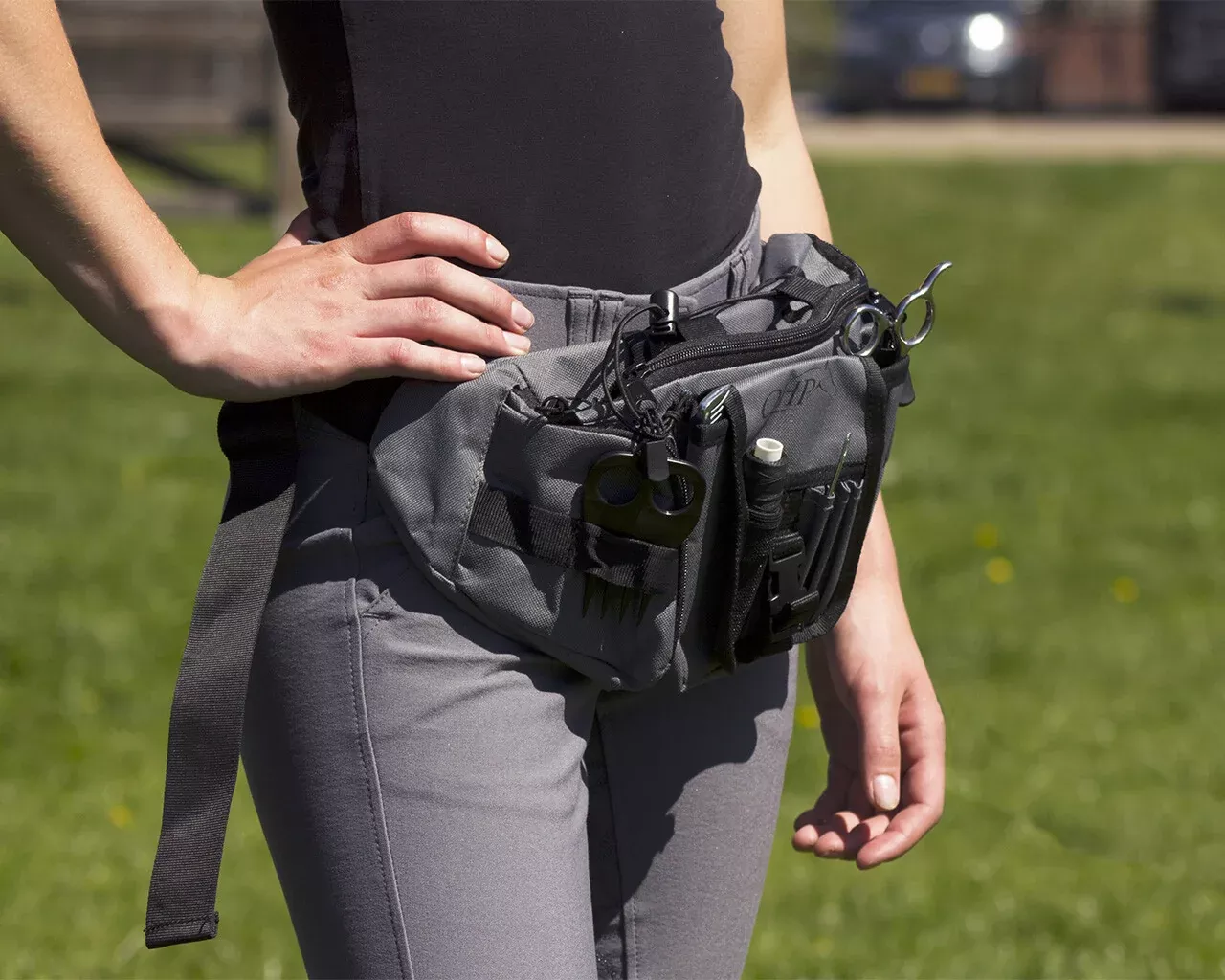 QHP Grooming Hip Bag