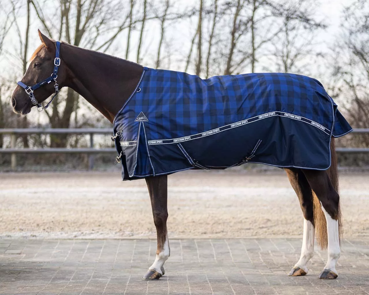 QHP Turnout Rug (150 g, 175 cm /69 in)