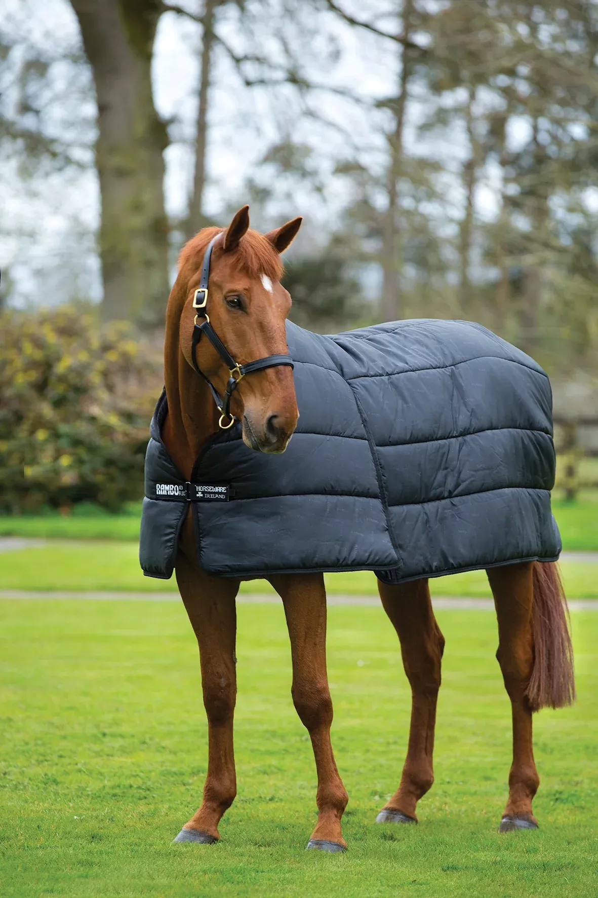 Rambo by Horseware Optimo 200g Horse Blanket Liner