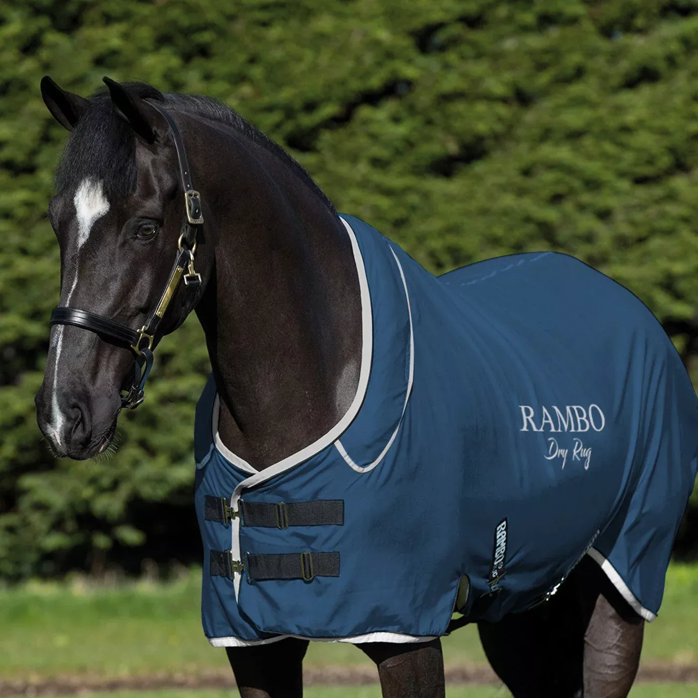 Rambo Dry Rug Supreme