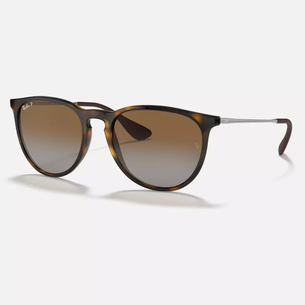 Ray-Ban Erika Classic Sunglasses