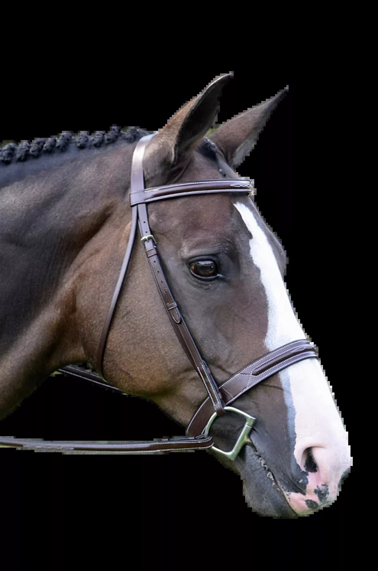 Red Barn Sonoma Hunter Bridle