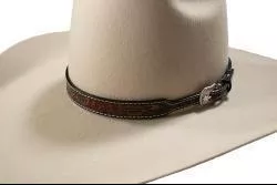Red flowers Hatband