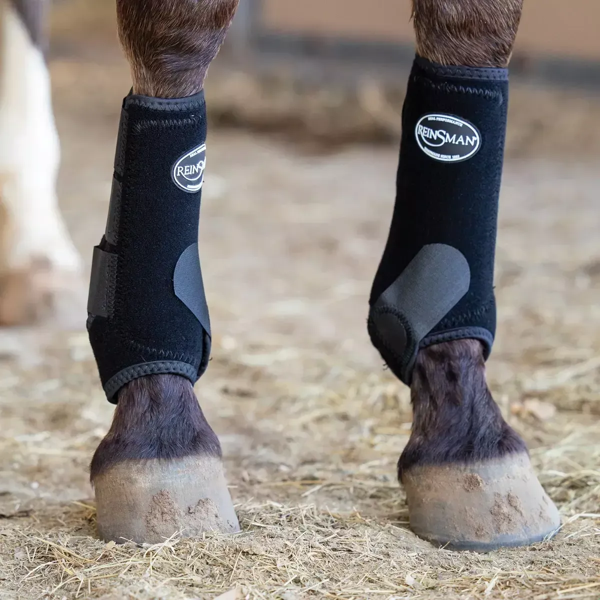 Reinsman Apex Sport Boots 2 Pack