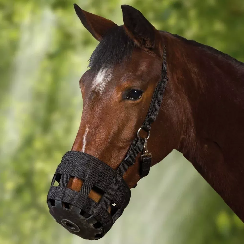 Roma Rubber Grazing Muzzle