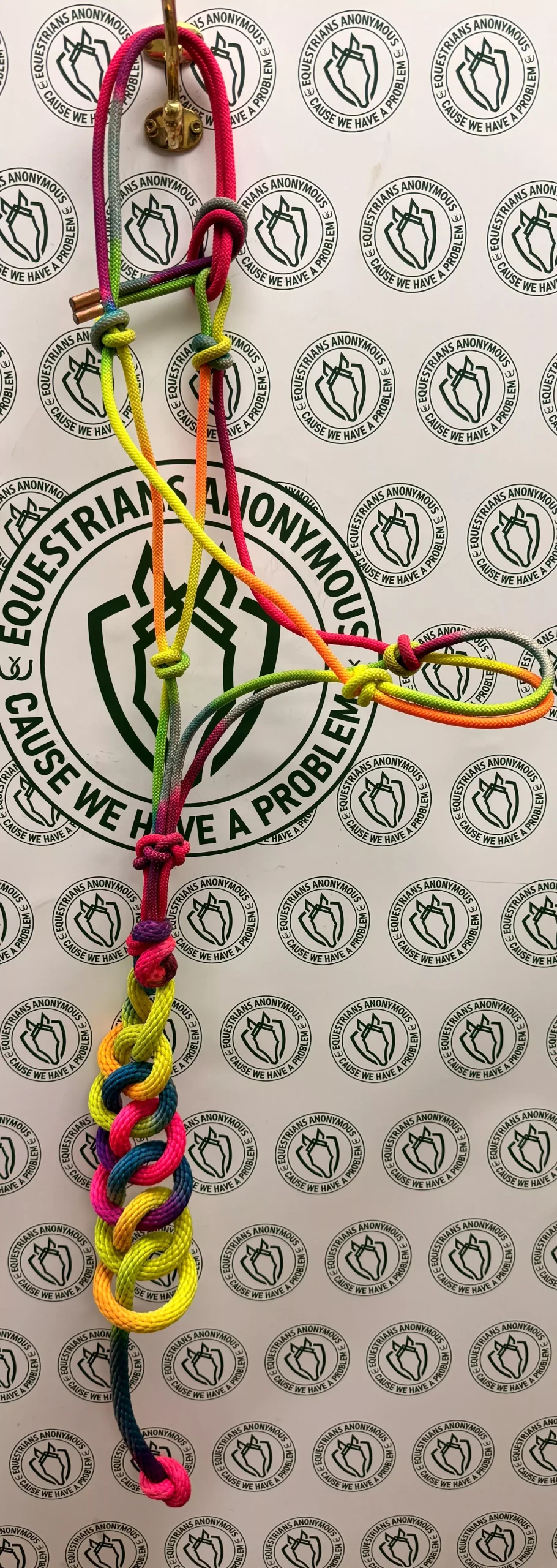 Rope Halter and lead Rainbow