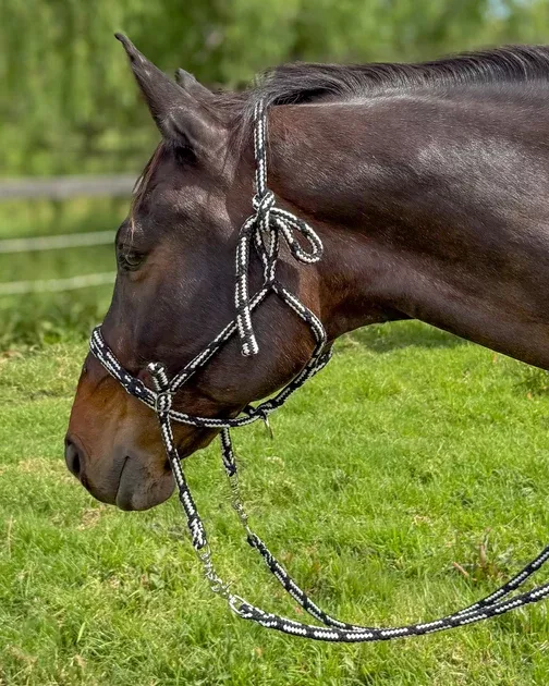 Rope Halter with Reins
