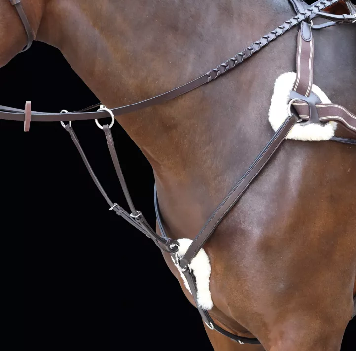 Rossano - Five Point Breastplate - Havana