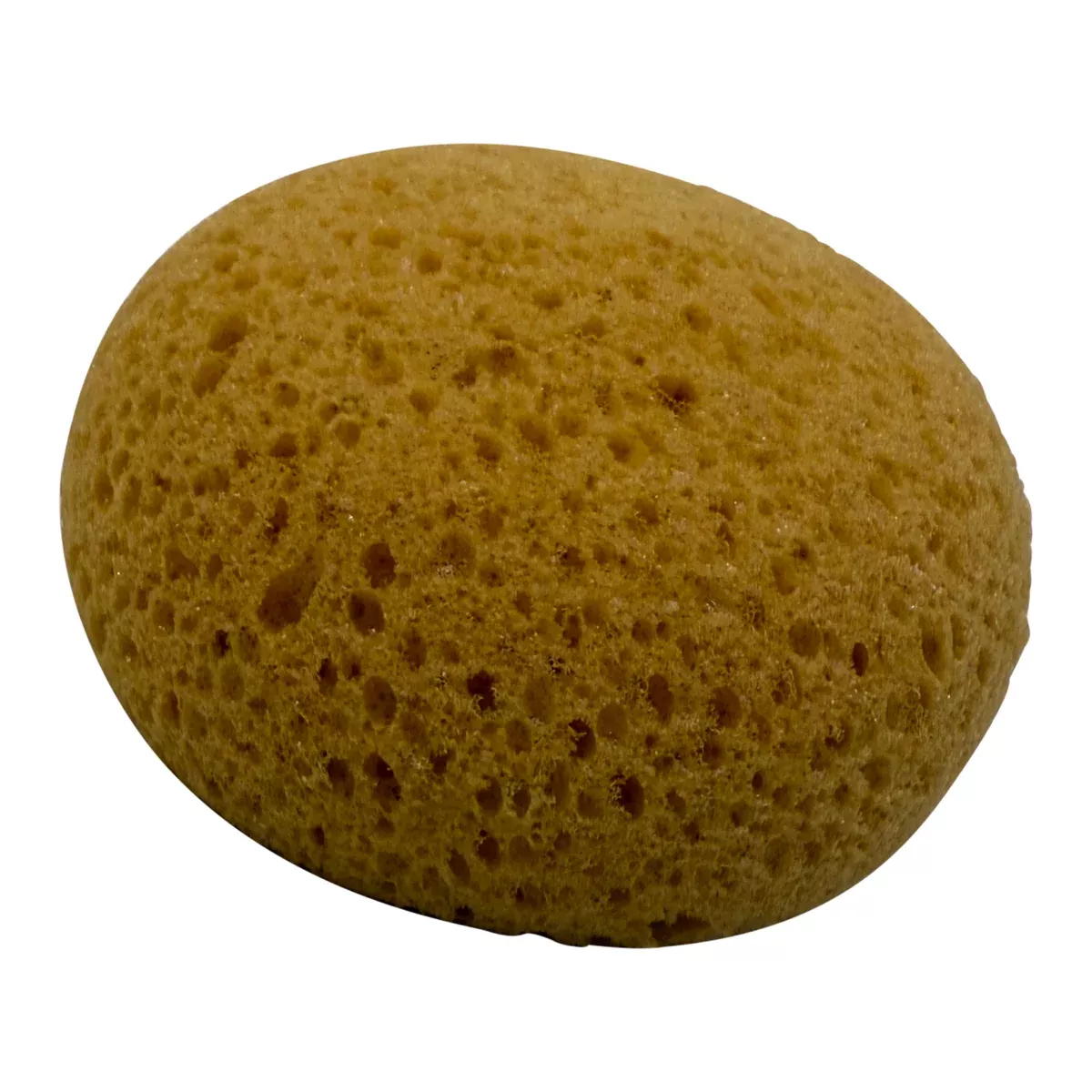 Round Synthetic Tack Sponge in Tan - 4"