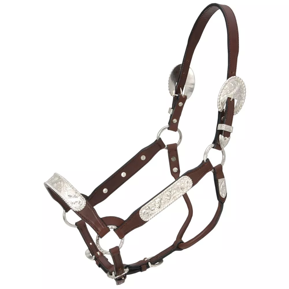 Royal King Berry Edge Congress Show Halter - Yearling