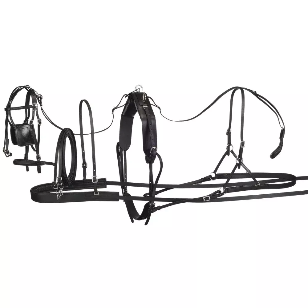 Royal King Leather Pony Harness – Large