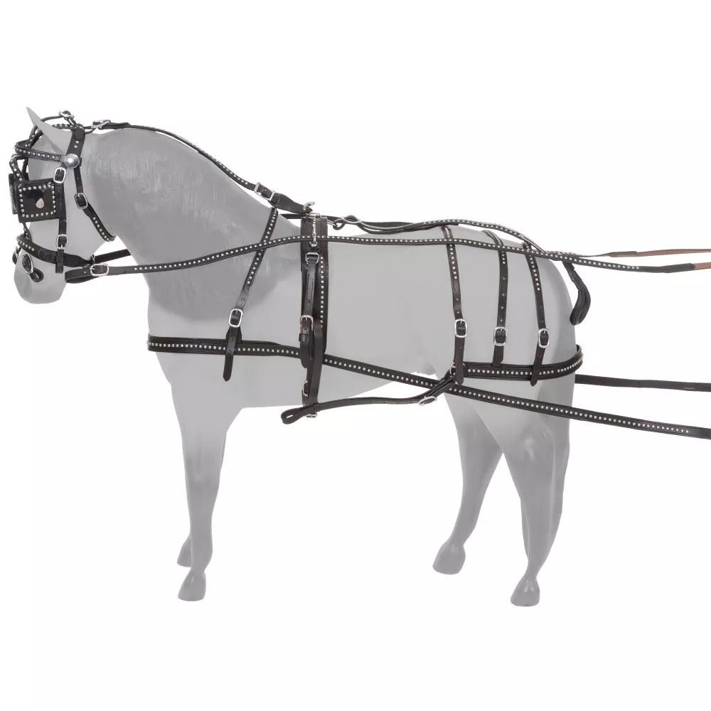 Royal king Spotted Leather Miniature Harness