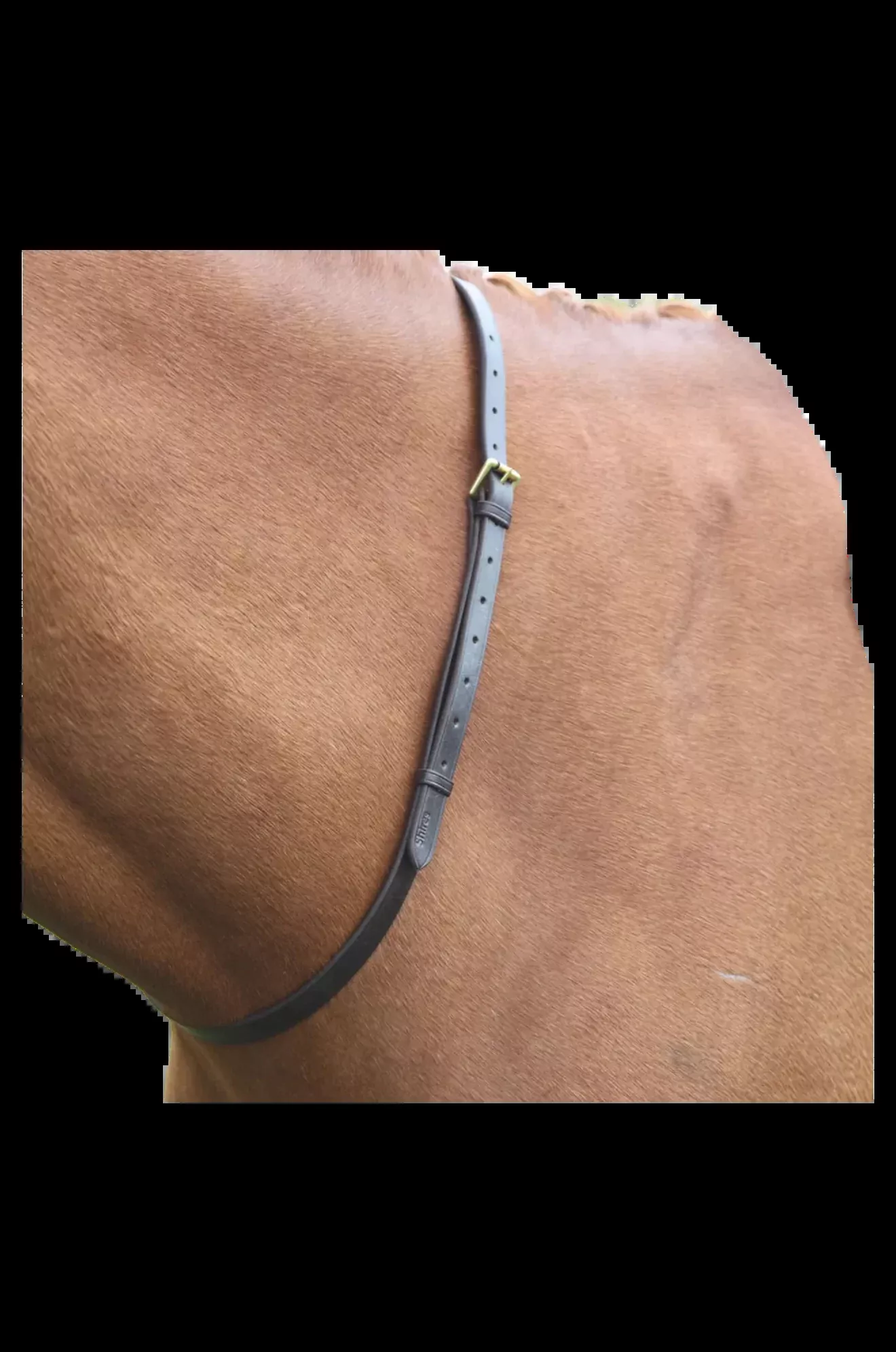 RTM Racing Neck Collar