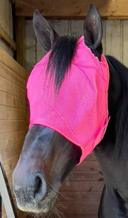 Rugged ride bright & bold rip resistant mesh fly mask no ears Large Horse