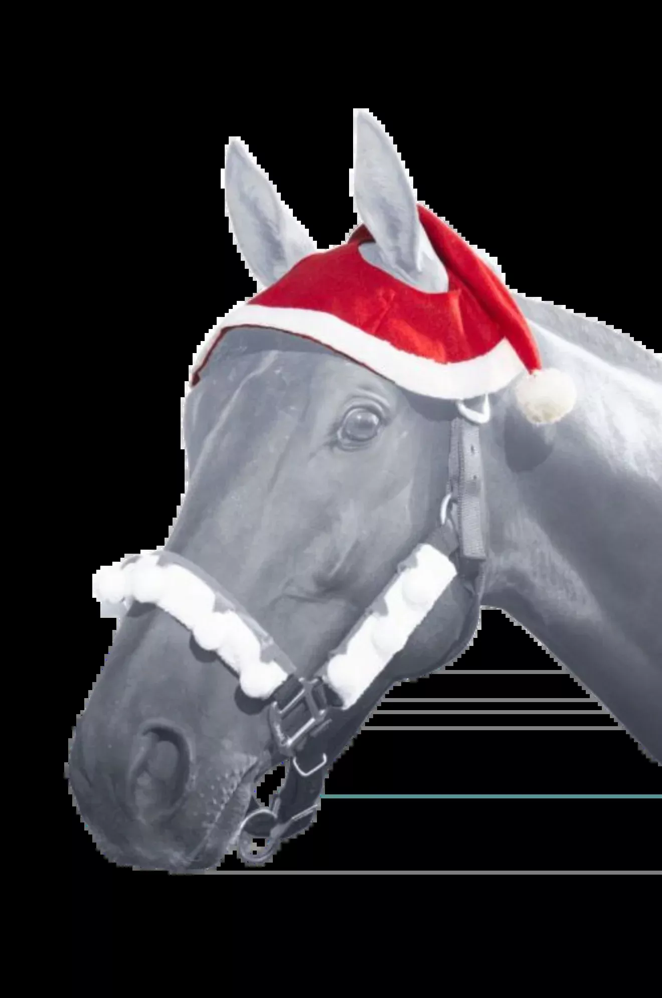 Santa 2 Ear Horse Hat