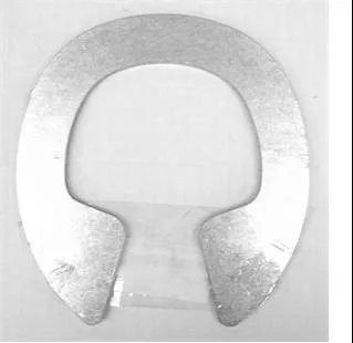 Scallion Plate Alum Insert/Bar #6
