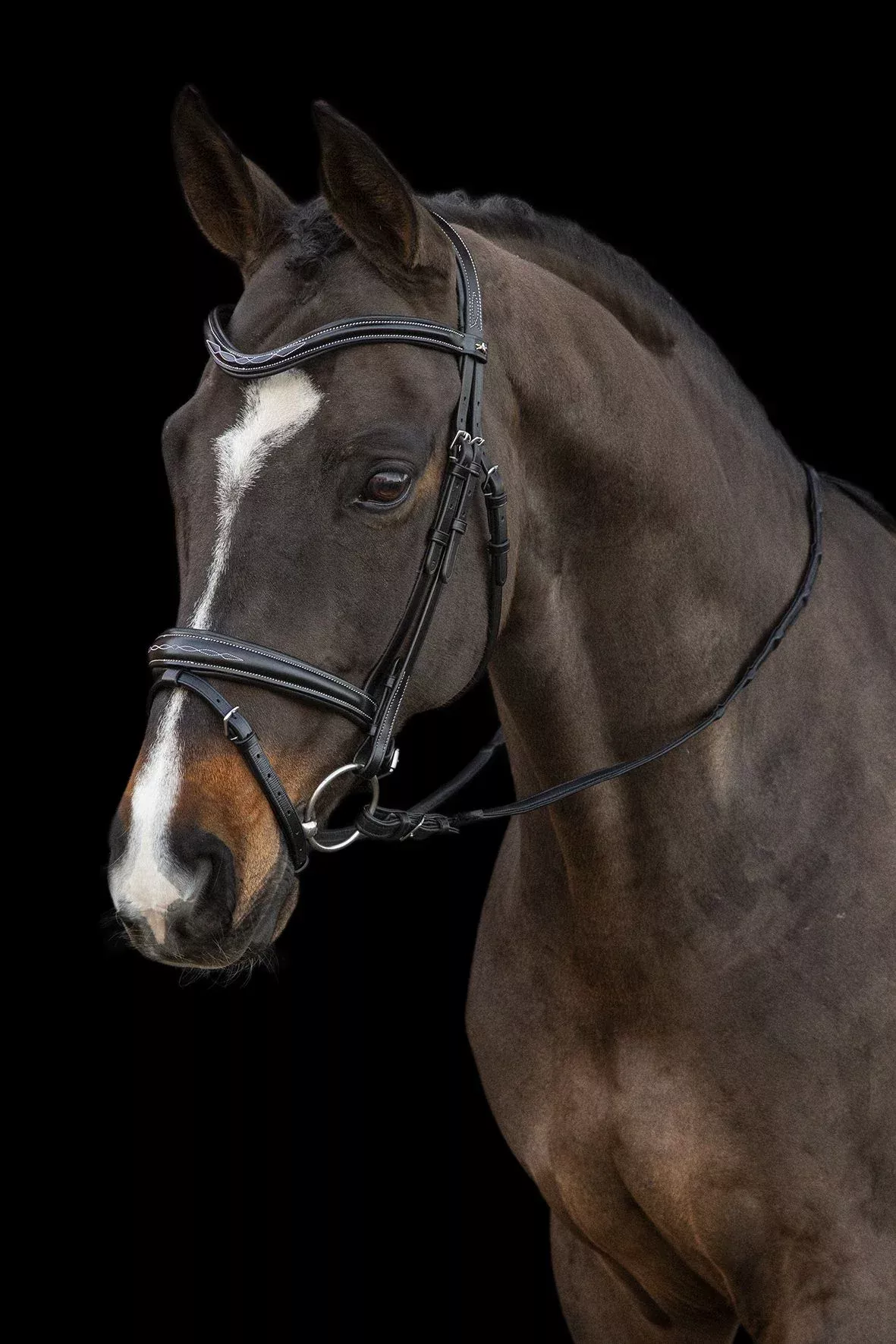 Schocemohle Monza Bridle