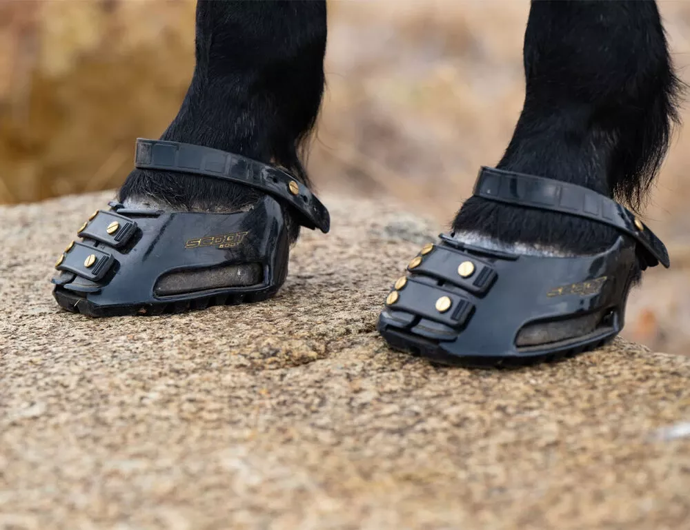 Scoot Boot Hoof Boots -Pair